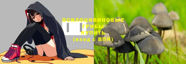 синтетический гашиш Алексин