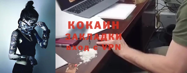 ECSTASY Алзамай