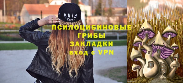 ECSTASY Алзамай