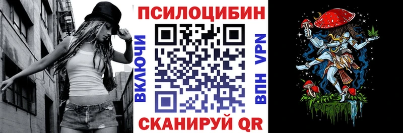 Псилоцибиновые грибы мицелий  Шуя 
