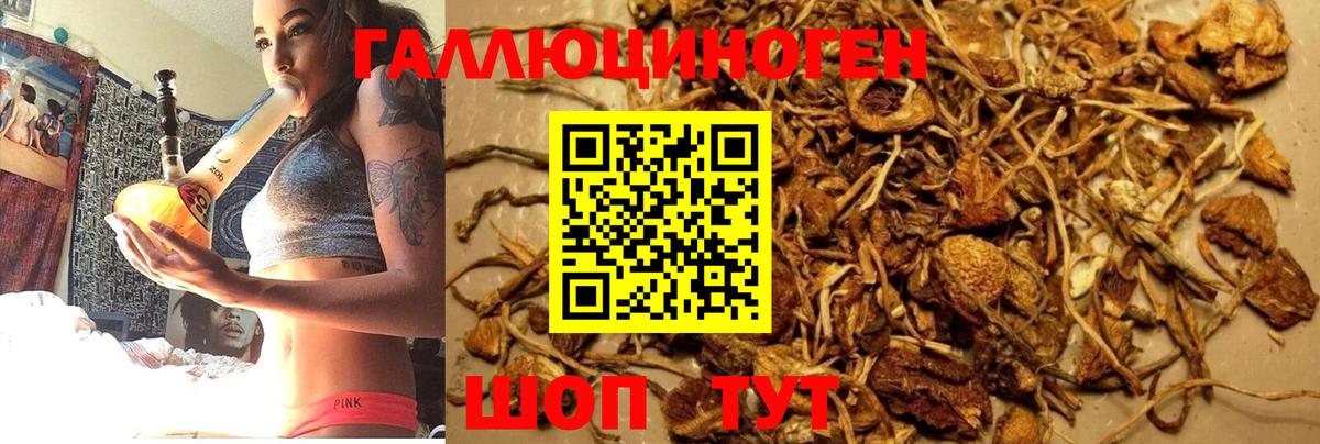 Галлюциногенные грибы мухоморы Шуя