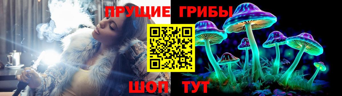 Галлюциногенные грибы MAGIC MUSHROOMS  Вход с VPN  цена наркотик  Шуя 